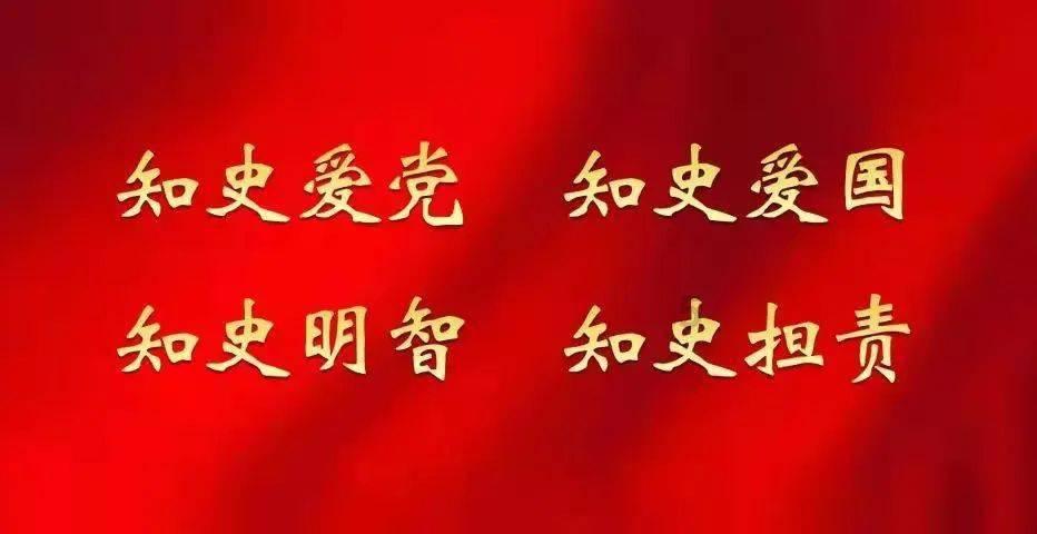 救援小犬立苏
